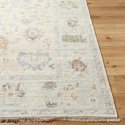 Antalya  Rug AAT-2314- Taupe, Brown - Chapin Furniture
