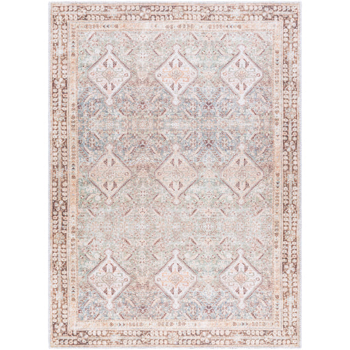 Amelie Rug - AML2394 - Brown - Chapin Furniture