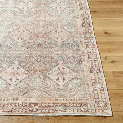Amelie Rug - AML2394 - Brown - Chapin Furniture