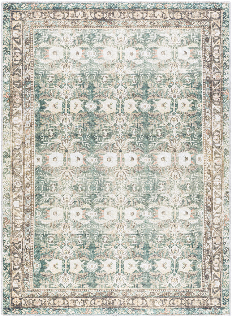 Amelie Rug - AML2396 - Green, Coral - Chapin Furniture