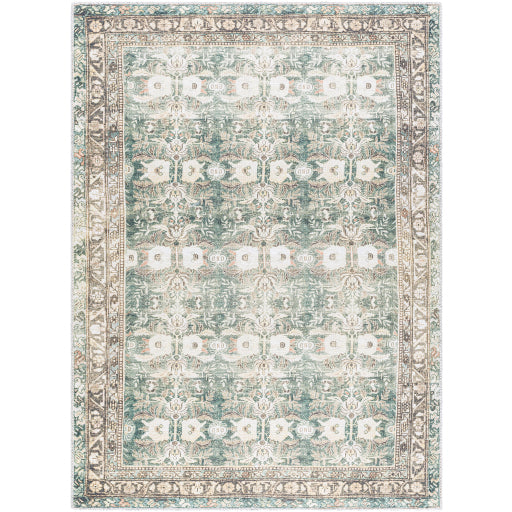 Amelie Rug - AML2396 - Green, Coral - Chapin Furniture