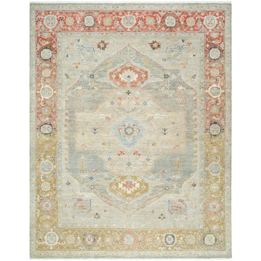 Anatolia ANY-2309 Rug- Olive, Gray - Chapin Furniture