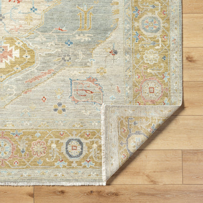 Anatolia ANY-2309 Rug- Olive, Gray - Chapin Furniture