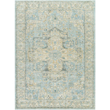Avellino AVL-2300 Rug- Beige, Gray, Blue - Chapin Furniture