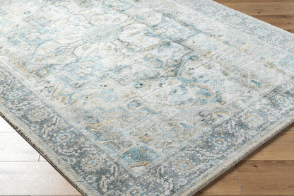 Avellino AVL-2301 Rug- Beige, Gray, Blue - Chapin Furniture