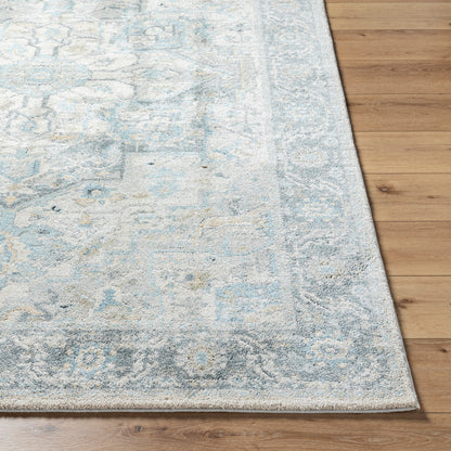 Avellino AVL-2301 Rug- Beige, Gray, Blue - Chapin Furniture