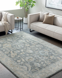 Avellino AVL-2305 Rug-  Beige, Blue - Chapin Furniture