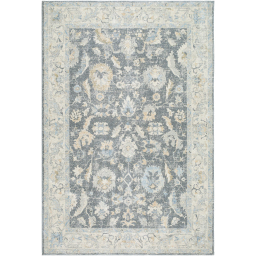 Avellino AVL-2305 Rug-  Beige, Blue - Chapin Furniture