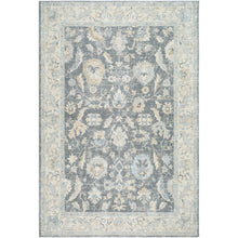 Avellino AVL-2305 Rug-  Beige, Blue - Chapin Furniture