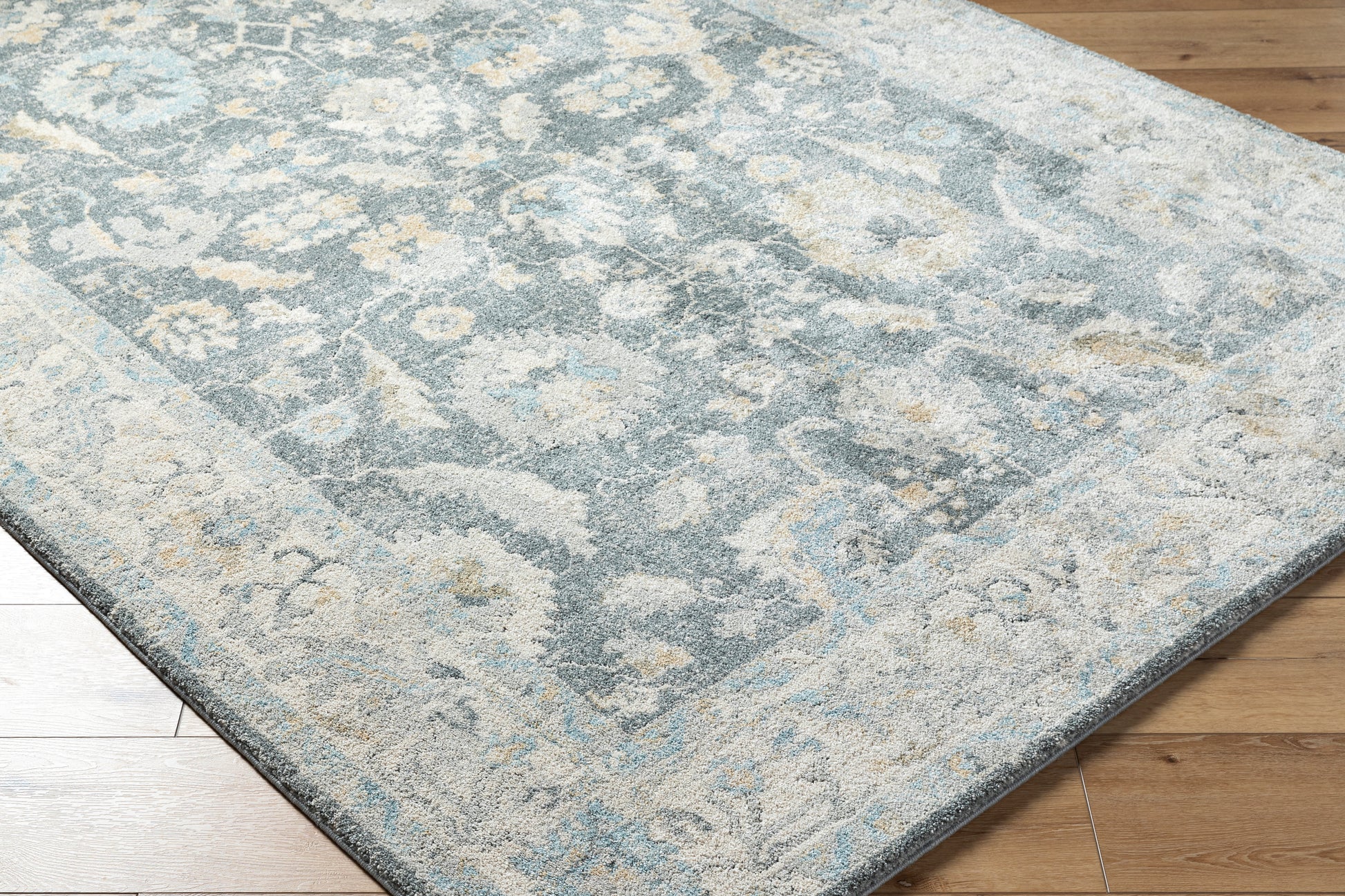 Avellino AVL-2305 Rug-  Beige, Blue - Chapin Furniture