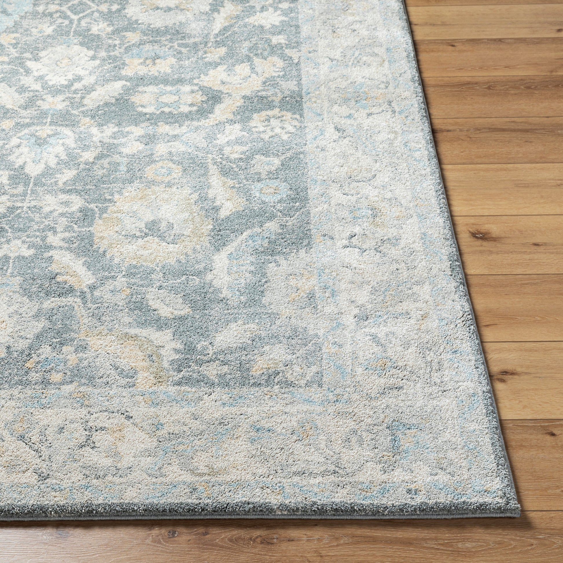 Avellino AVL-2305 Rug-  Beige, Blue - Chapin Furniture