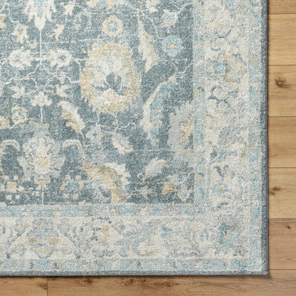 Avellino AVL-2305 Rug-  Beige, Blue - Chapin Furniture