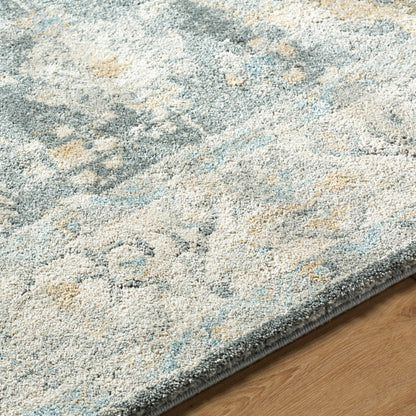 Avellino AVL-2305 Rug-  Beige, Blue - Chapin Furniture