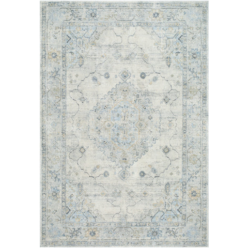 Avellino AVL-2314 Rug-  Beige, Blue, Gray - Chapin Furniture