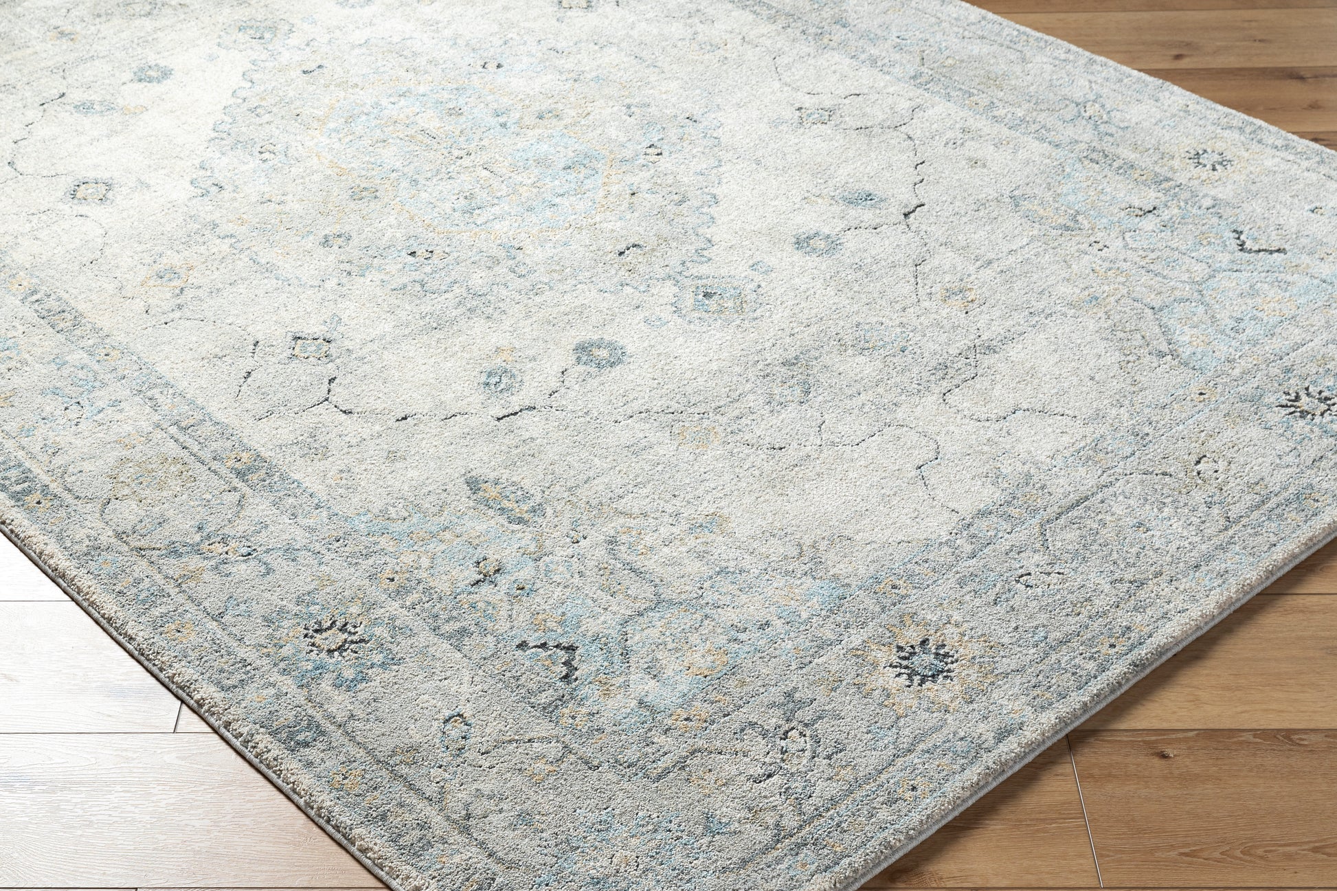 Avellino AVL-2314 Rug-  Beige, Blue, Gray - Chapin Furniture