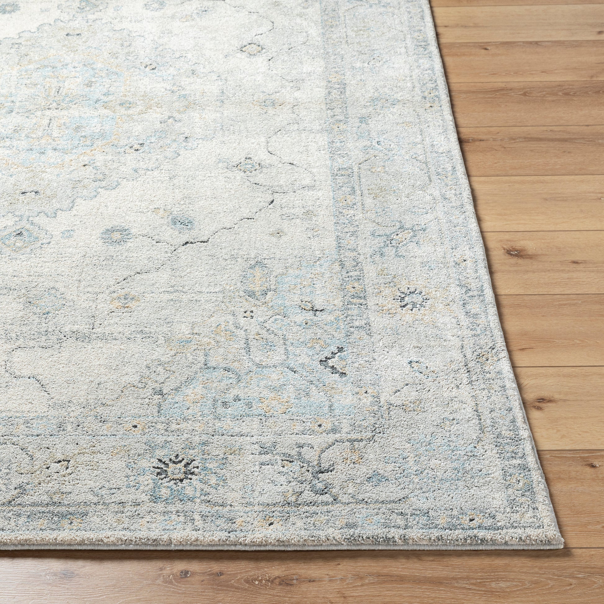 Avellino AVL-2314 Rug-  Beige, Blue, Gray - Chapin Furniture