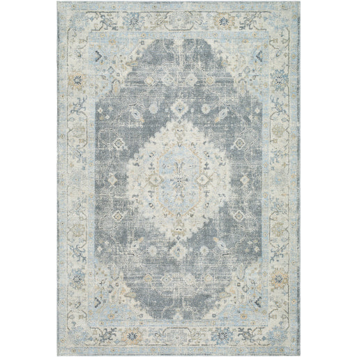 Avellino AVL-2315 Rug-  Beige, Blue, Gray - Chapin Furniture