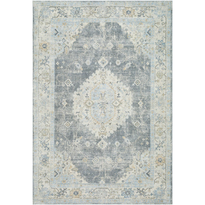 Avellino AVL-2315 Rug-  Beige, Blue, Gray - Chapin Furniture