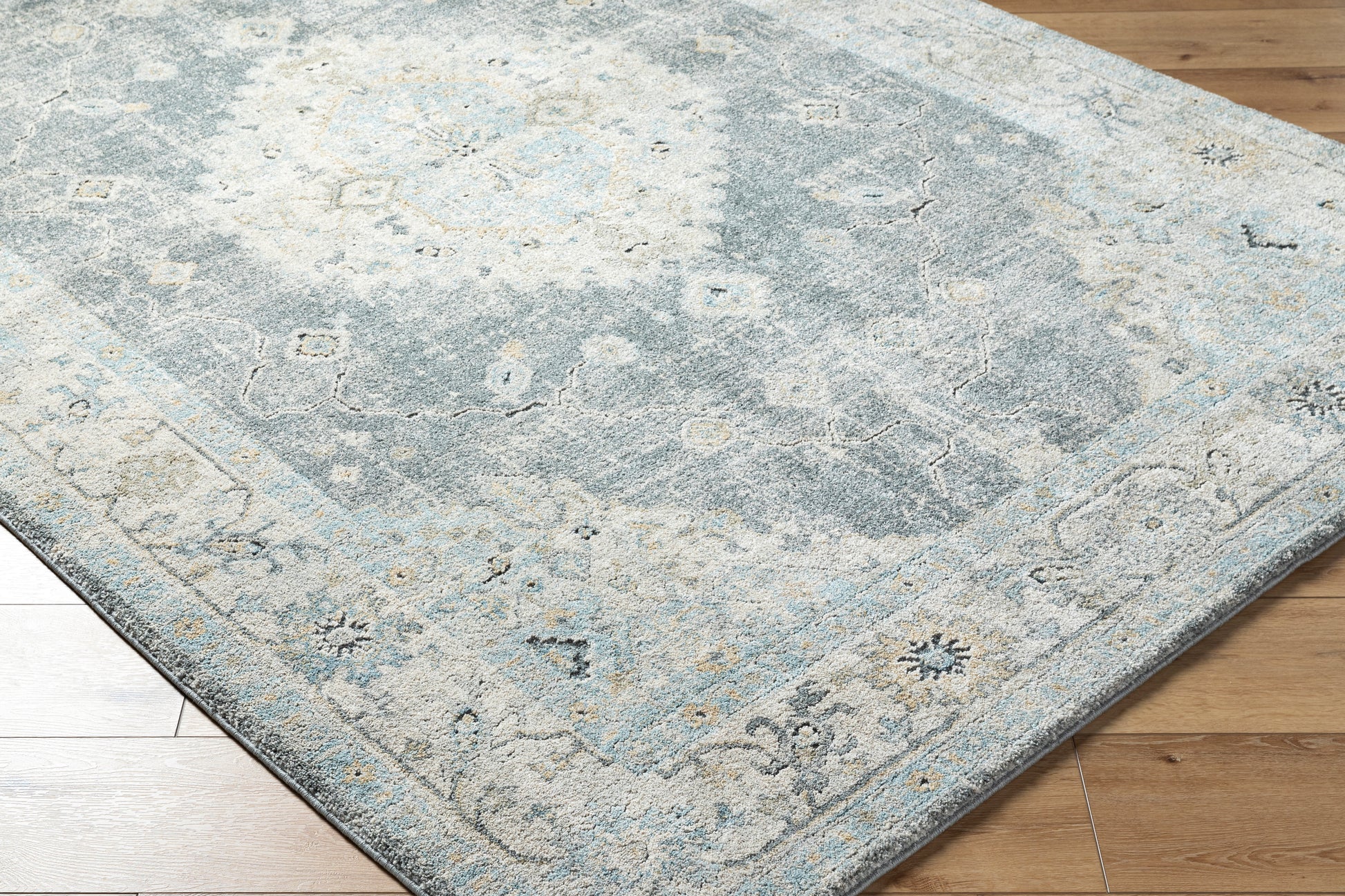 Avellino AVL-2315 Rug-  Beige, Blue, Gray - Chapin Furniture
