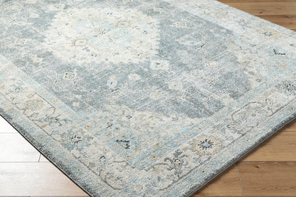 Avellino AVL-2315 Rug-  Beige, Blue, Gray - Chapin Furniture