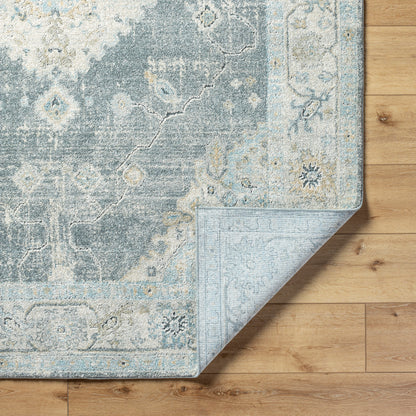 Avellino AVL-2315 Rug-  Beige, Blue, Gray - Chapin Furniture