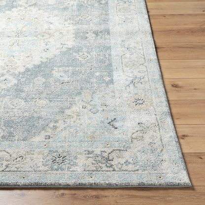 Avellino AVL-2315 Rug-  Beige, Blue, Gray - Chapin Furniture