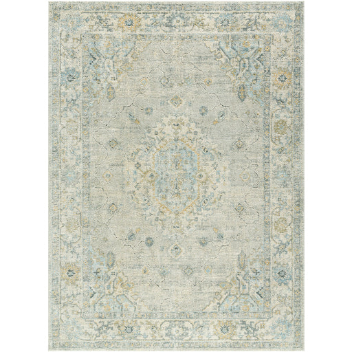 Avellino AVL-2316 Rug-  Beige, Teal, Gray - Chapin Furniture
