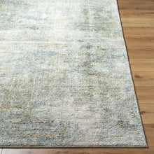 Avellino AVL-2328 Rug-  Beige, Olive, Gray - Chapin Furniture