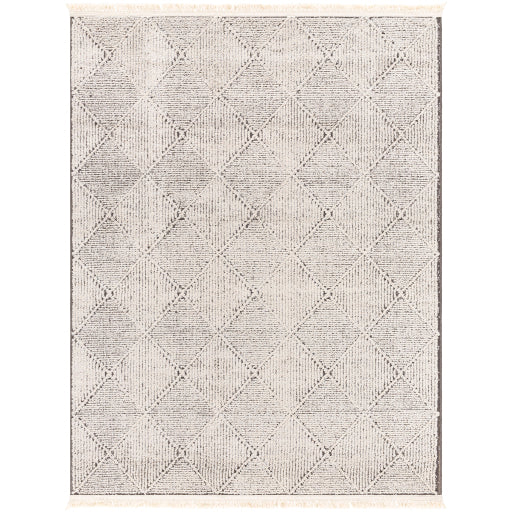 Berlin BLR-2315 Rug- Ivory, Black - Chapin Furniture