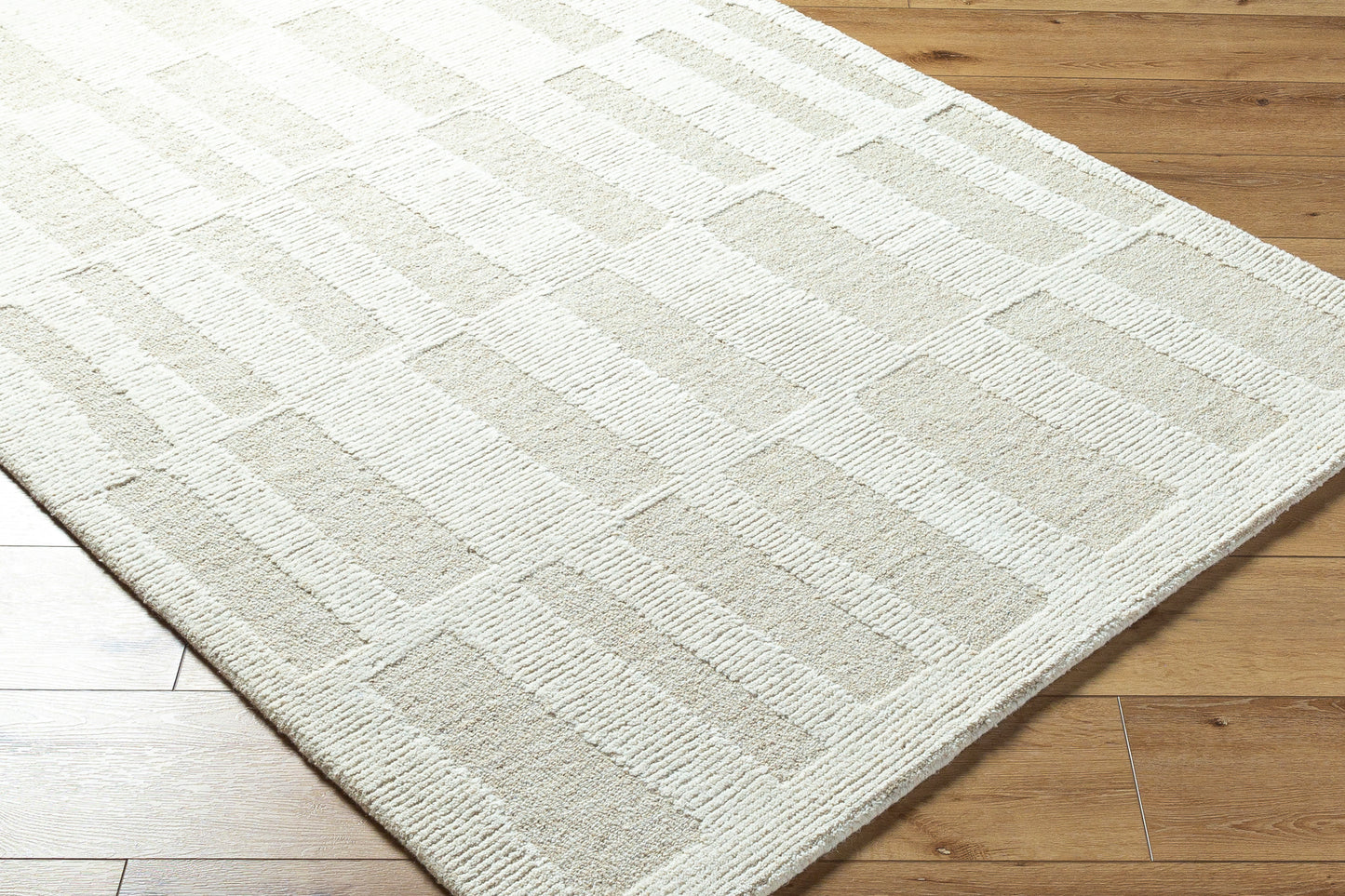 Bianca BNC-2304 Rug- Gray, Beige - Chapin Furniture