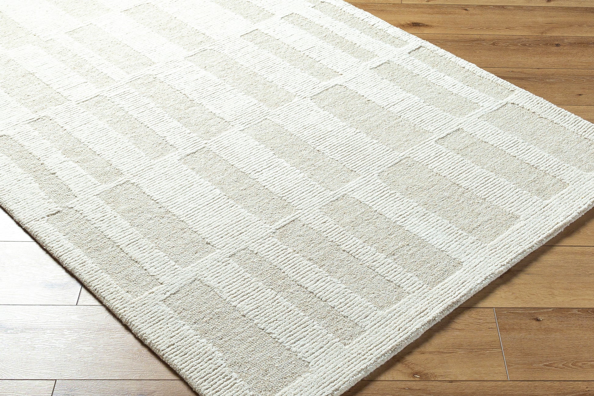 Bianca BNC-2304 Rug- Gray, Beige - Chapin Furniture