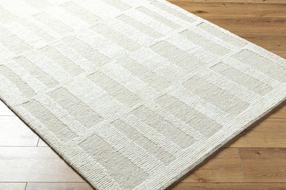 Bianca BNC-2304 Rug- Gray, Beige - Chapin Furniture