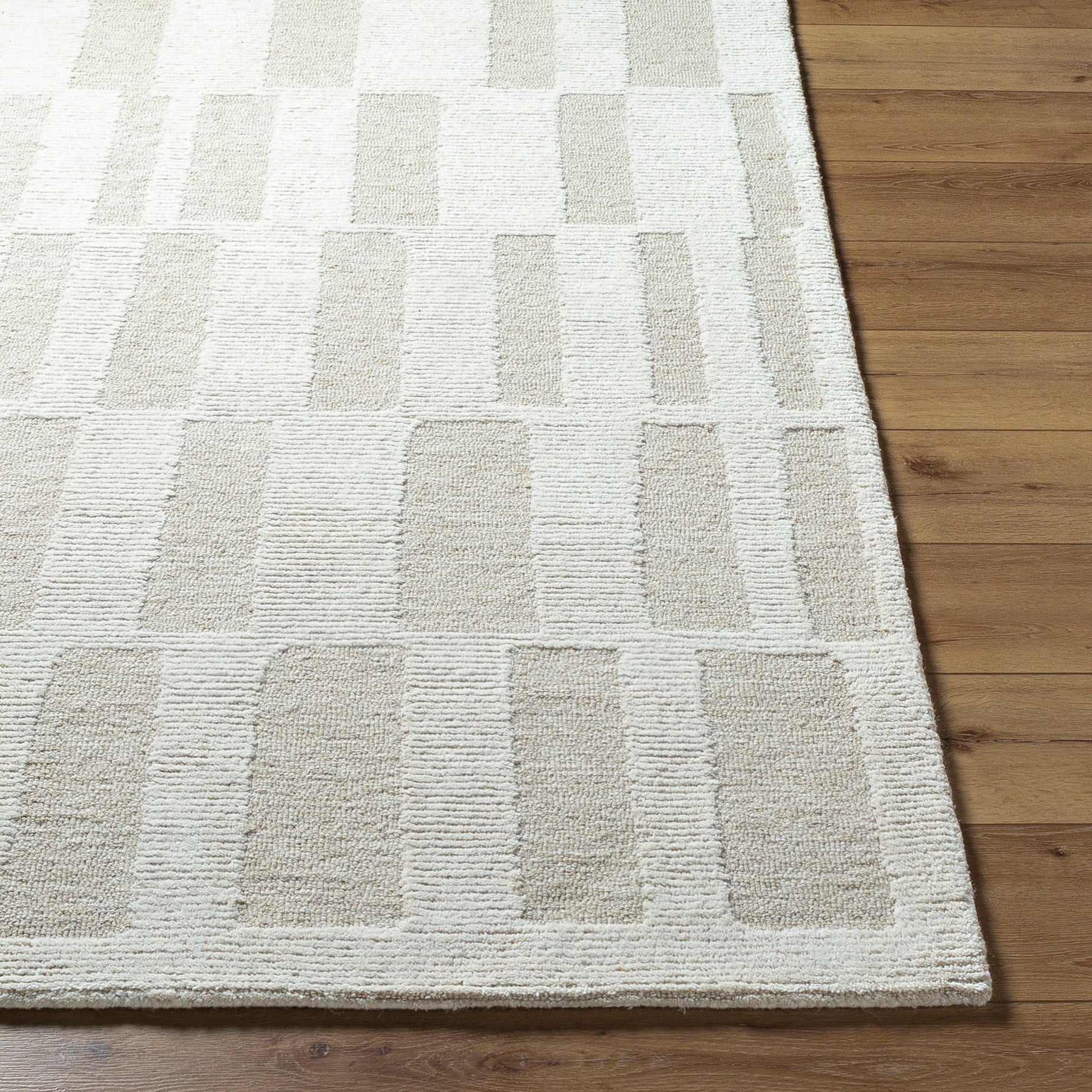 Bianca BNC-2304 Rug- Gray, Beige - Chapin Furniture