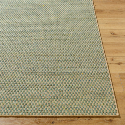 Bolton BTO-2303 Rug- Green - Chapin Furniture