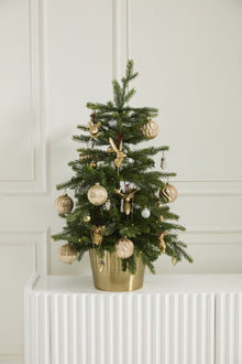 Set of 6 E + E Ornaments - Chapin Furniture