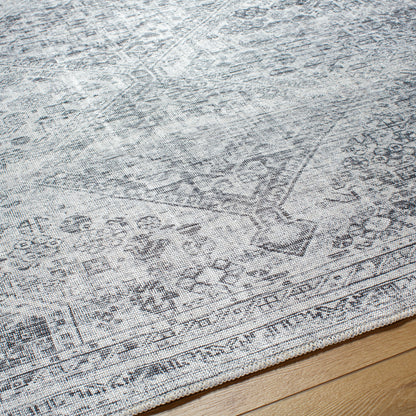 Embrace EMA-2312 Rug- Slate, Pale Blue, Ivory, Gray, Charcoal - Chapin Furniture