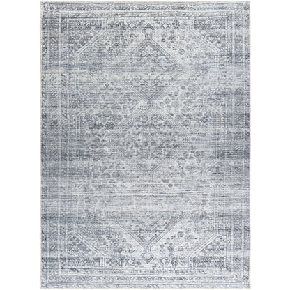 Embrace EMA-2312 Rug- Slate, Pale Blue, Ivory, Gray, Charcoal - Chapin Furniture