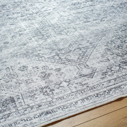 Embrace EMA-2312 Rug- Slate, Pale Blue, Ivory, Gray, Charcoal - Chapin Furniture
