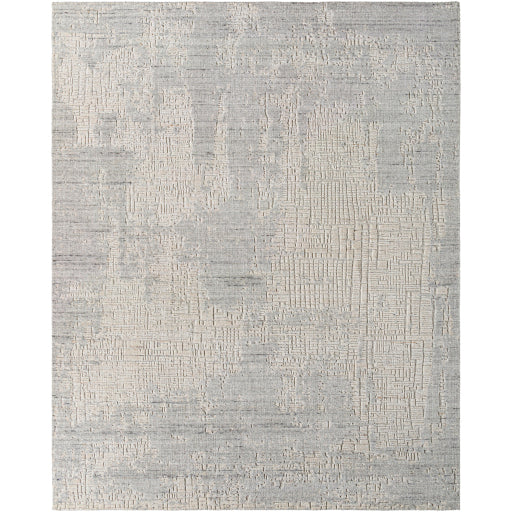 Finesse FSS-2302 Rug- Gray, Beige - Chapin Furniture