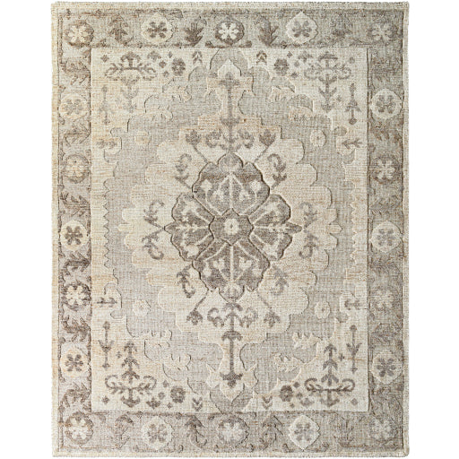 Hadiya HAY-2300 Rug- Tan, Brown - Chapin Furniture