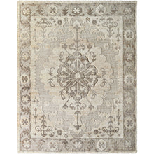 Hadiya HAY-2300 Rug- Tan, Brown - Chapin Furniture