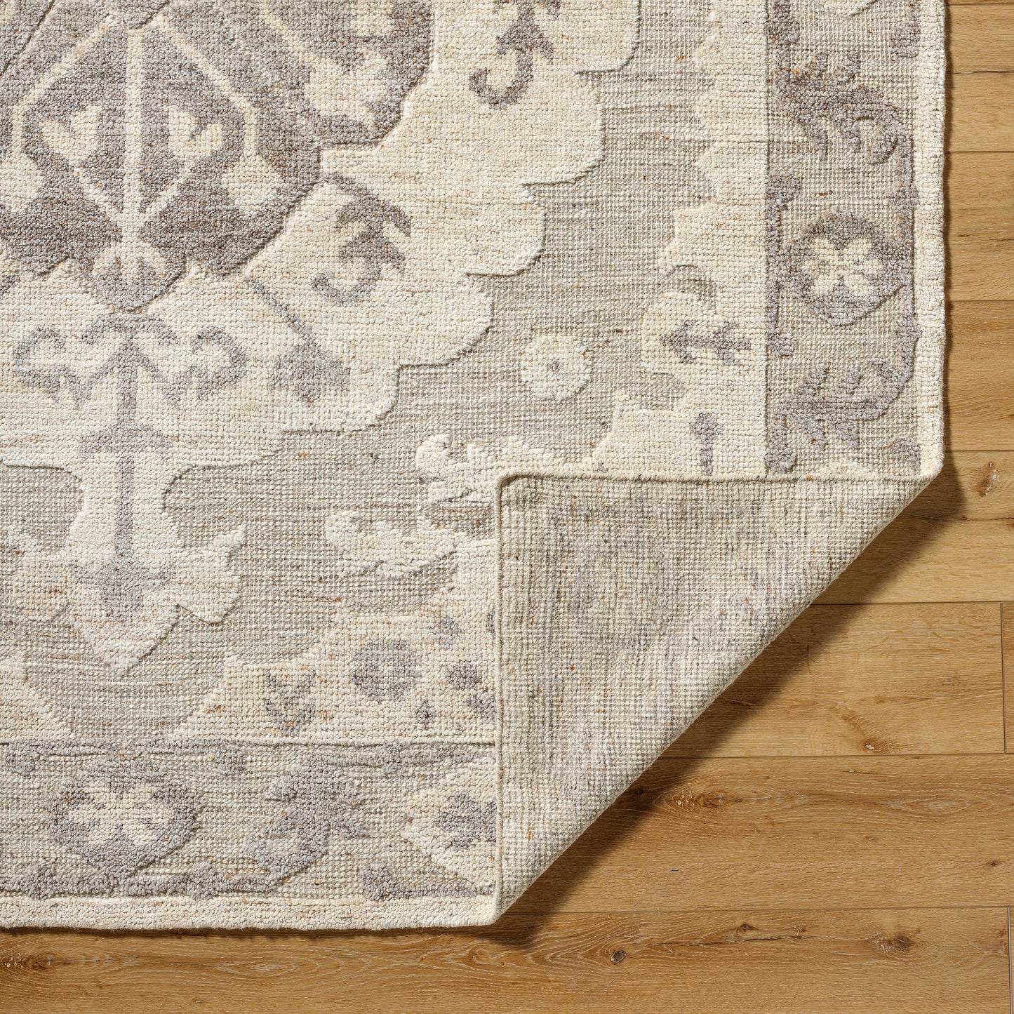 Hadiya HAY-2300 Rug- Tan, Brown - Chapin Furniture