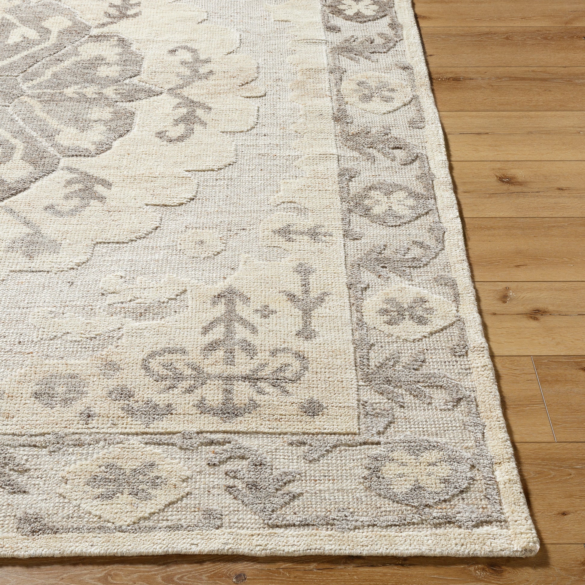 Hadiya HAY-2300 Rug- Tan, Brown - Chapin Furniture