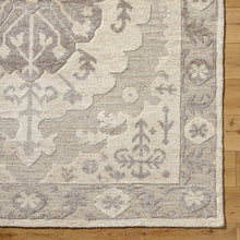 Hadiya HAY-2300 Rug- Tan, Brown - Chapin Furniture