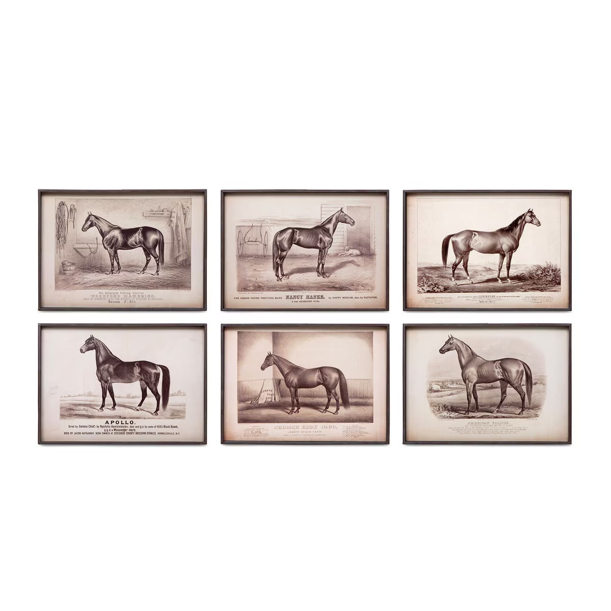 Prized Race Horse Framed Prints, Set of 6 Assorted Styles - Chapin Furniture