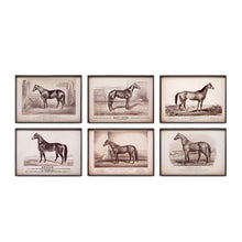 Prized Race Horse Framed Prints, Set of 6 Assorted Styles - Chapin Furniture