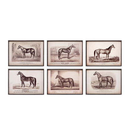 Prized Race Horse Framed Prints, Set of 6 Assorted Styles - Chapin Furniture