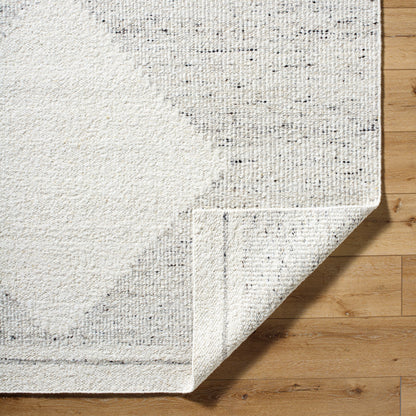 Peru PEU-2301 Rug- Gray, Ivory - Chapin Furniture