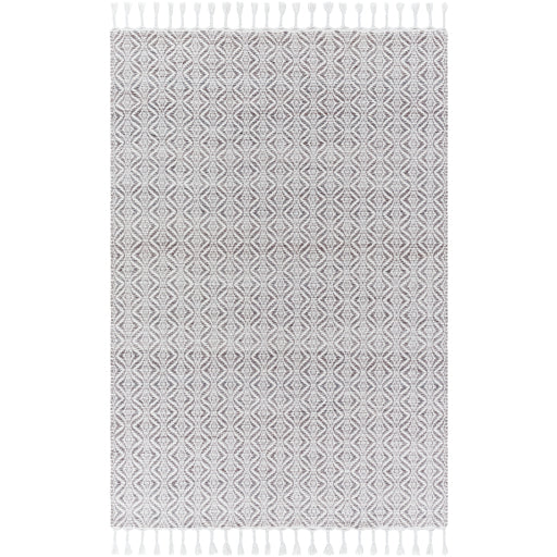 Peony PON-2300 Rug - Gray, White - Chapin Furniture