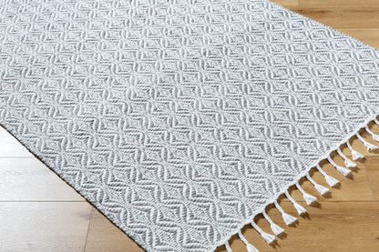 Peony PON-2300 Rug - Gray, White - Chapin Furniture